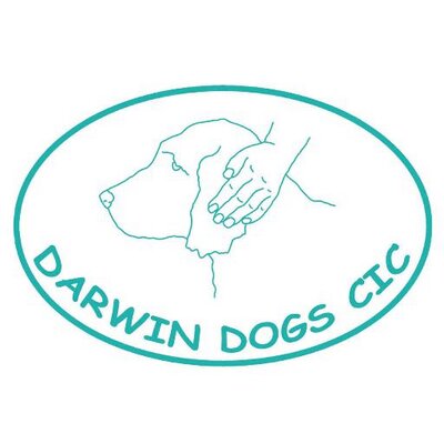 Darwin dogs logo