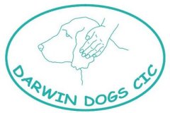 Darwin dogs logo