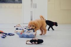 1567180584-training3