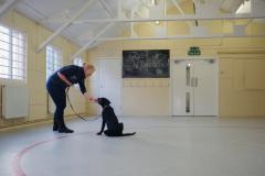 1567180584-training4